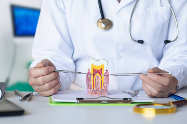 Best Emergency Wisdom Teeth Removal in Beechwood, MI